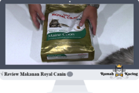 Review Makanan Royal Canin