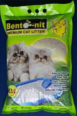 Bento-nit Premium Cat Litter