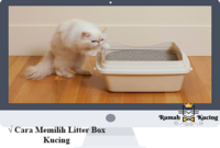 Cara-Memilih-Litter-Box-Kucing