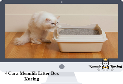 Cara-Memilih-Litter-Box-Kucing
