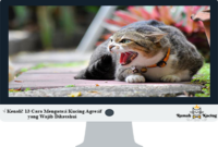 Cara-Mengatasi-Kucing-Agresif