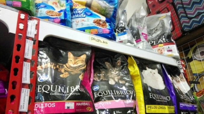 Sediakan Beragam Makanan Kucing