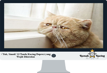 Tanda-Kucing-Depresi