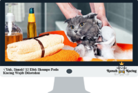Efek-Shampo-Pada-Kucing