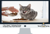 Makanan-Kucing-Kampung