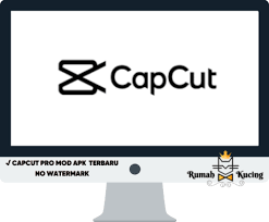 Capcut Pro Mod Apk